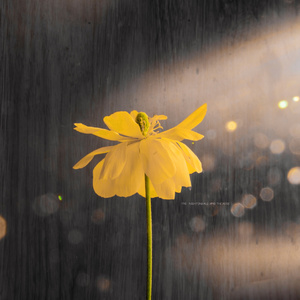 大胸美女慢慢脱下来
